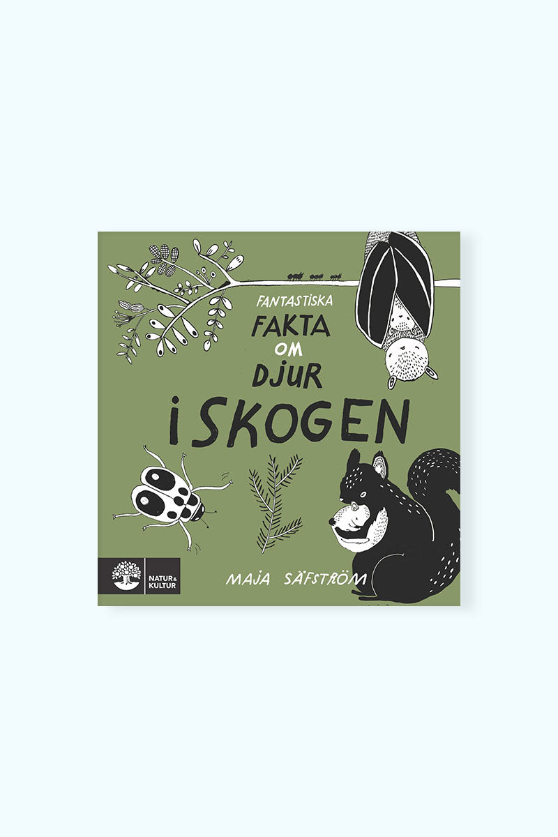Bok i skogen