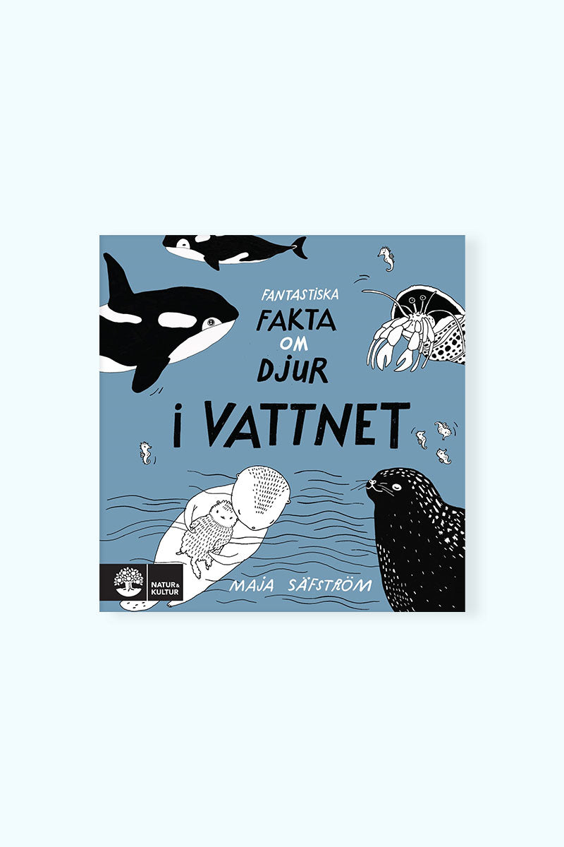 Bok i vattnet