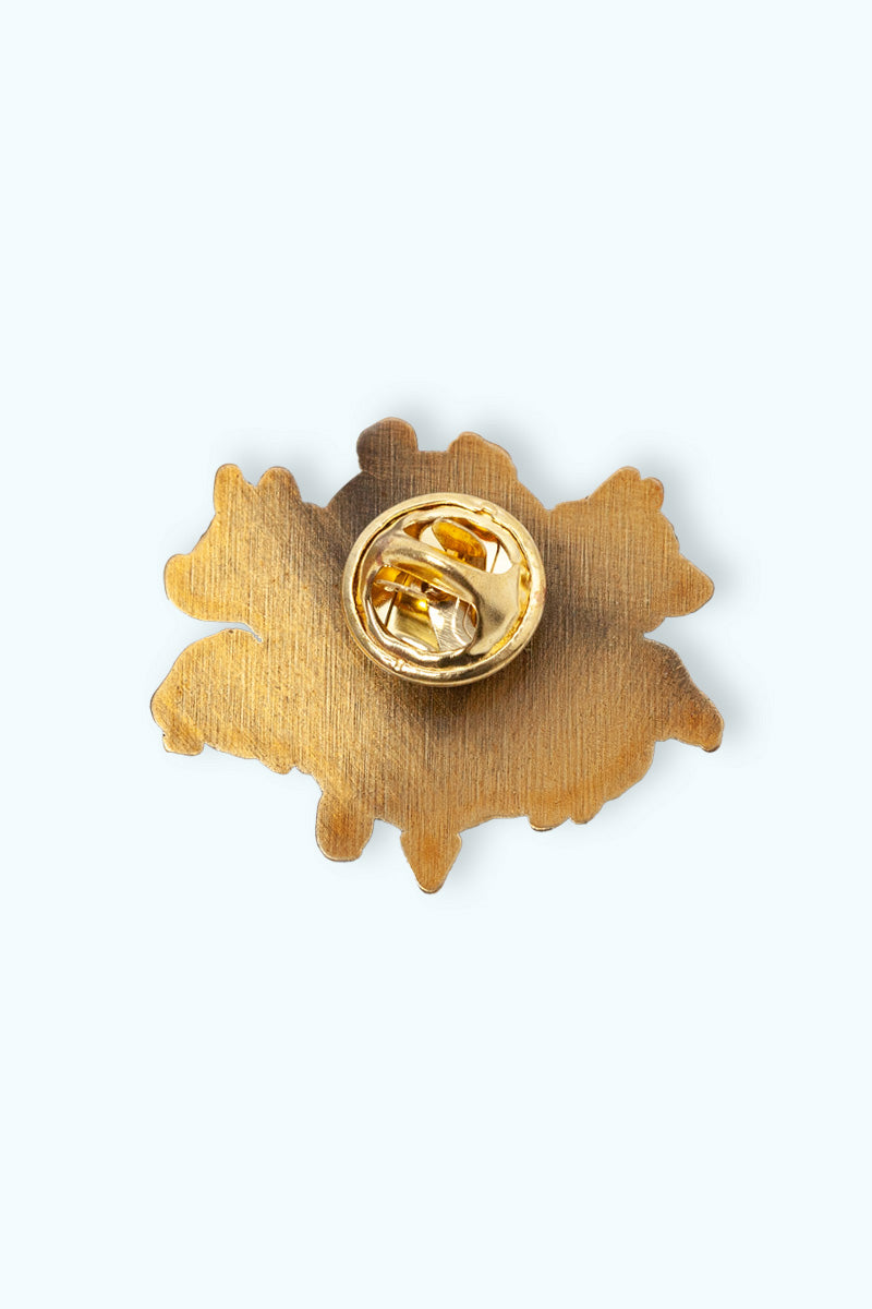 Baksidan av guld pin