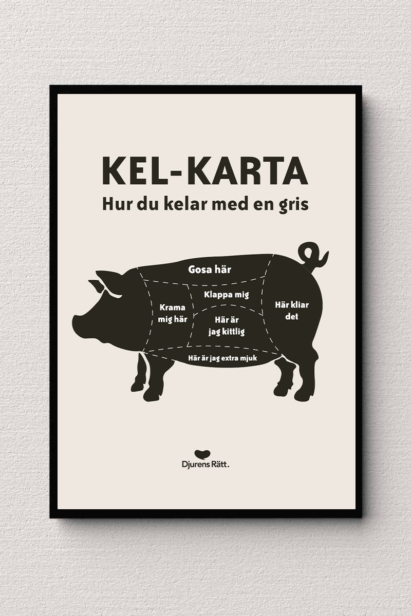 Poster Kelkarta